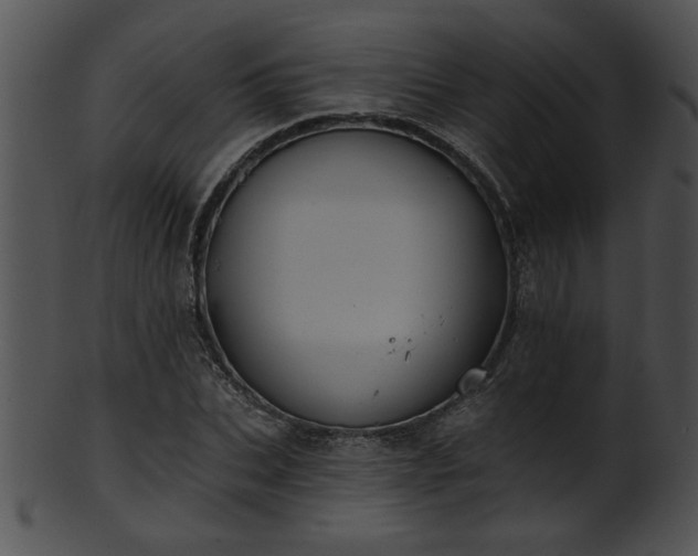 X0000101450927200807141240