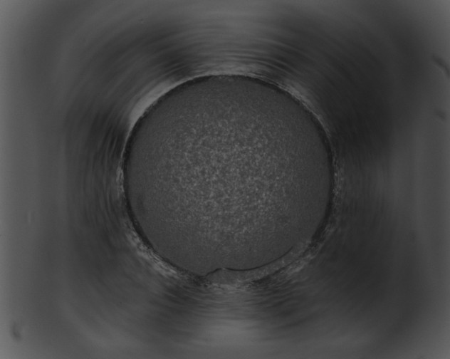 X0000101450928200807141240