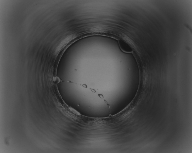 X0000101450930200807141240