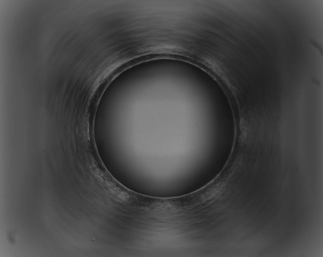 X0000101450931200807141240