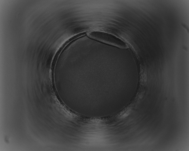 X0000101450932200807141240