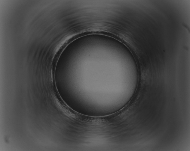 X0000101450934200807141240