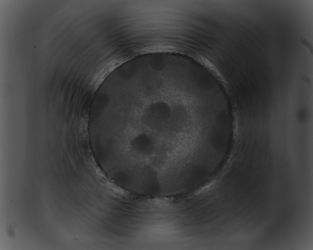 X0000101450937200807141241