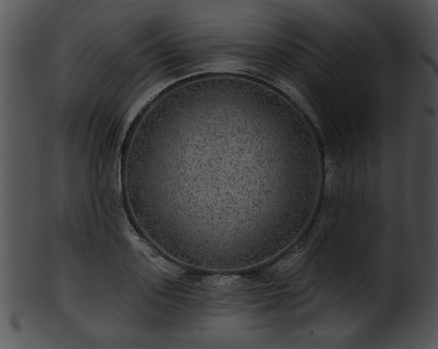 X0000101450939200807141241