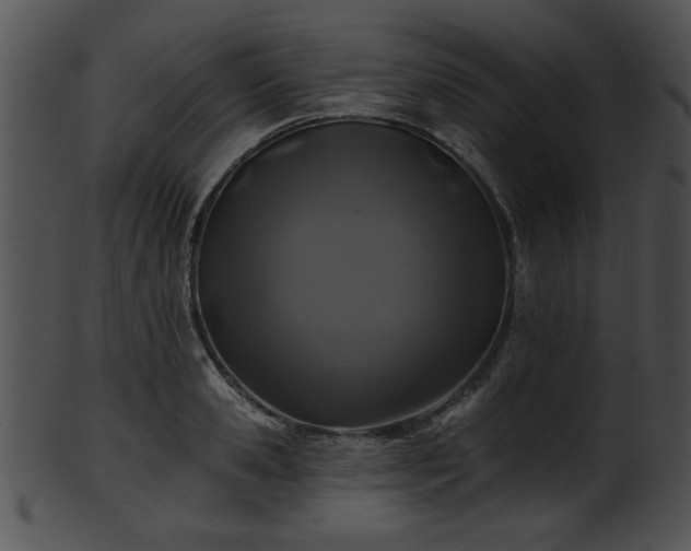 X0000101450941200807141241