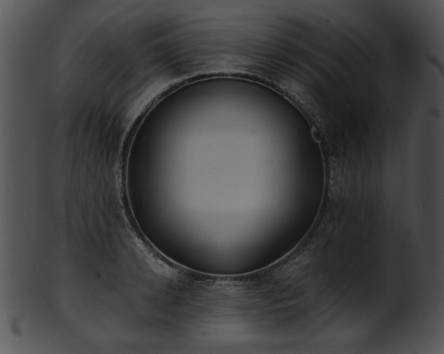 X0000101450942200807141241