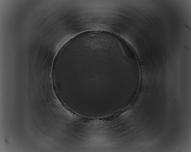 X0000101450943200807141241