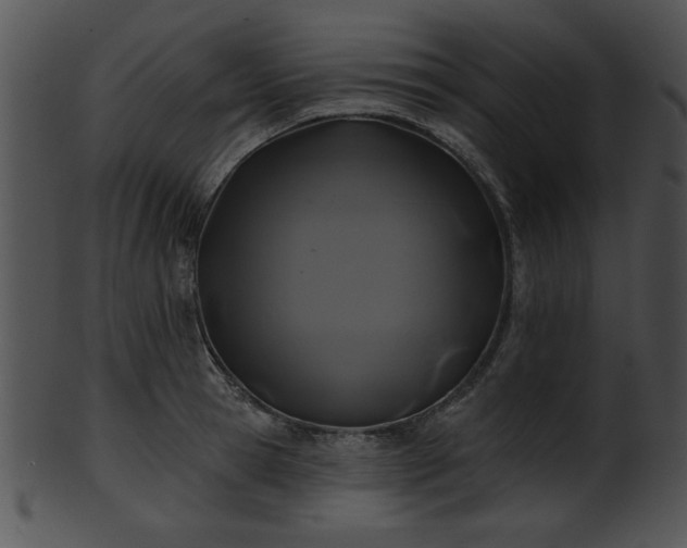 X0000101450945200807141241