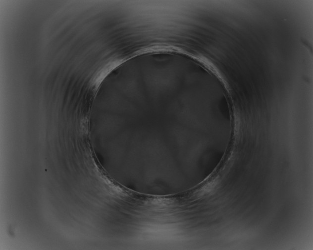 X0000101450953200807141241