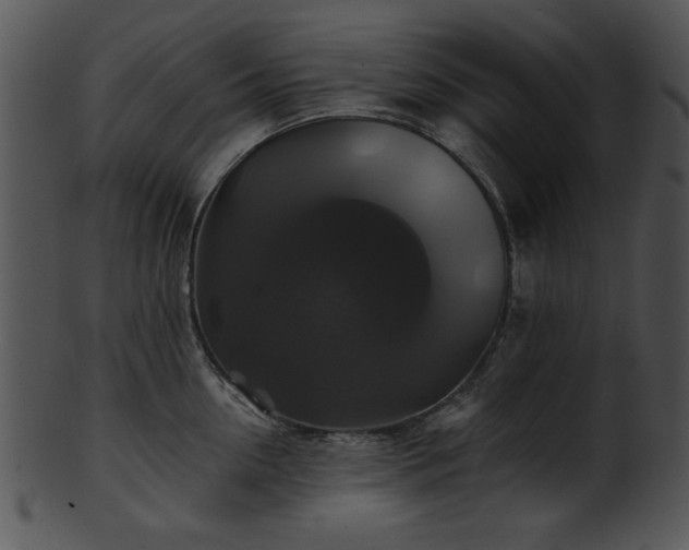 X0000101450954200807141241