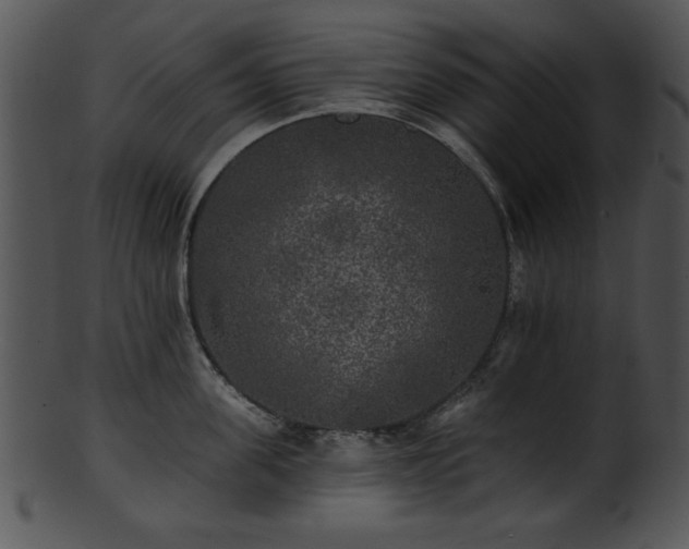 X0000101450955200807141241