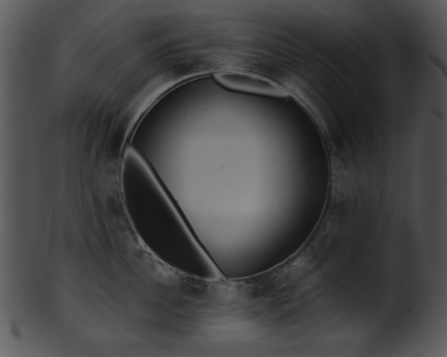 X0000101450956200807141241