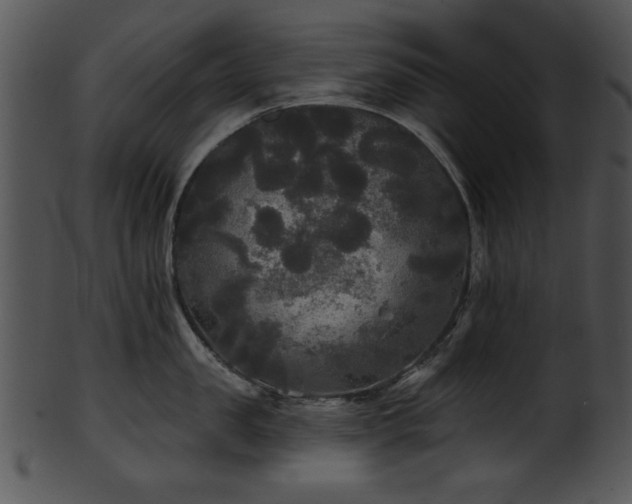 X0000101450957200807141241