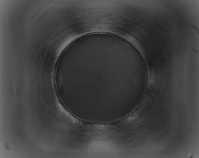 X0000101450958200807141241