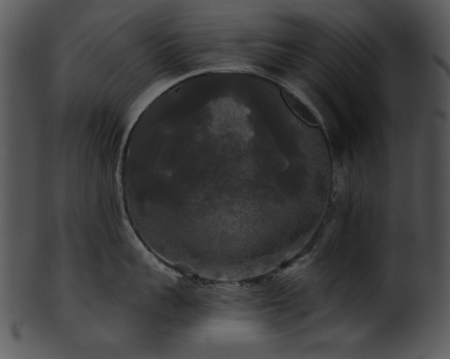 X0000101450959200807141241