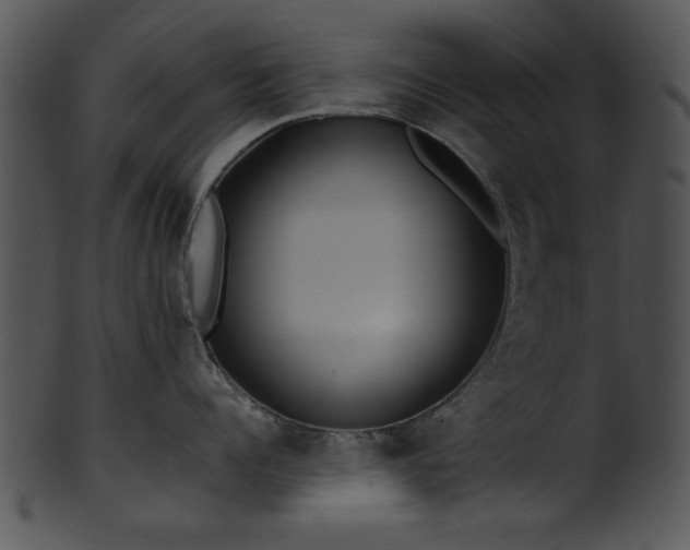 X0000101450960200807141241