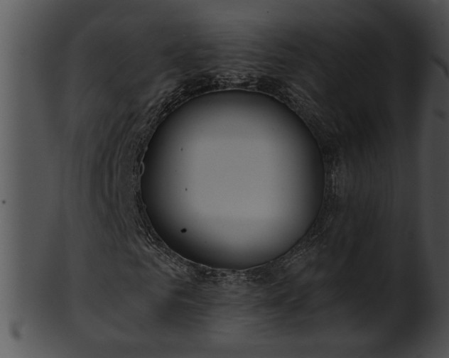 X0000101450961200807141240