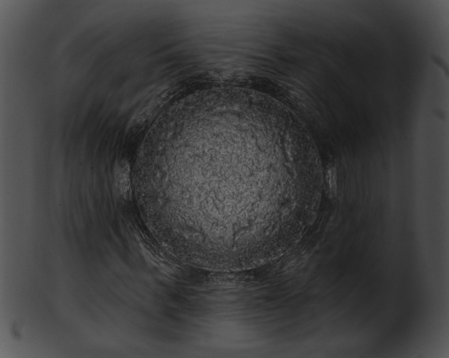 X0000101450963200807141240