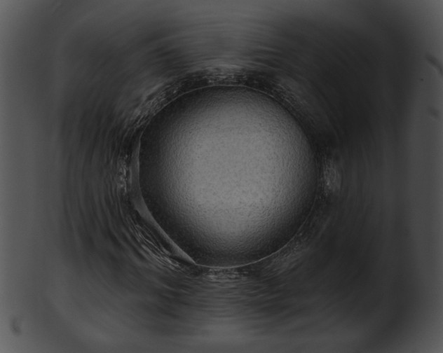 X0000101450964200807141240