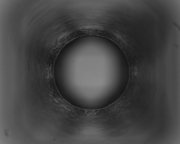 X0000101450965200807141240