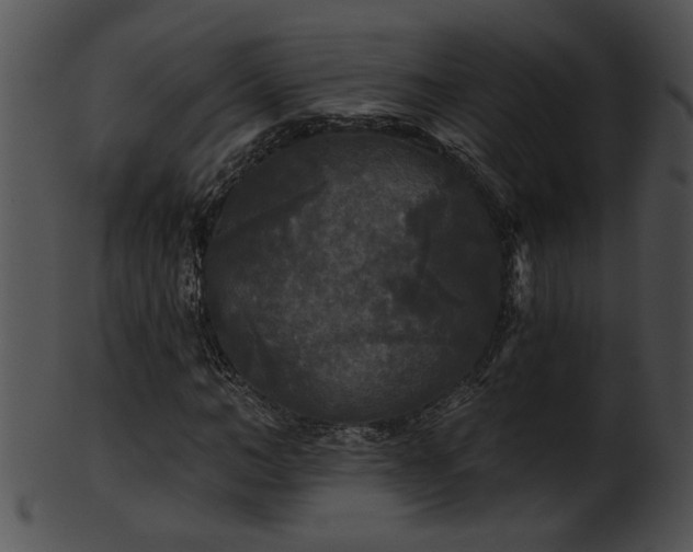 X0000101450966200807141240