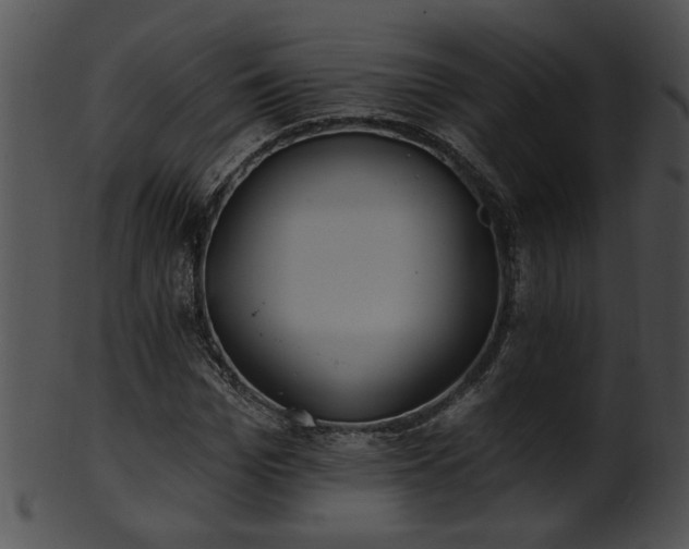 X0000101450969200807141240