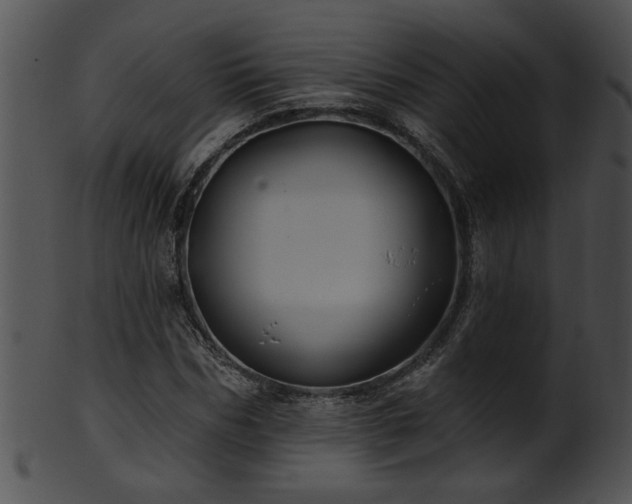 X0000101450970200807141240