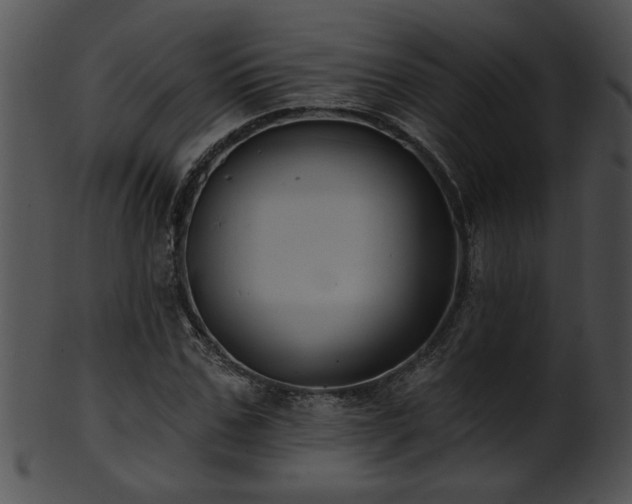 X0000101450971200807141240