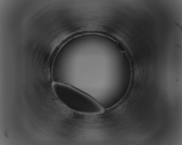 X0000101450973200807141240