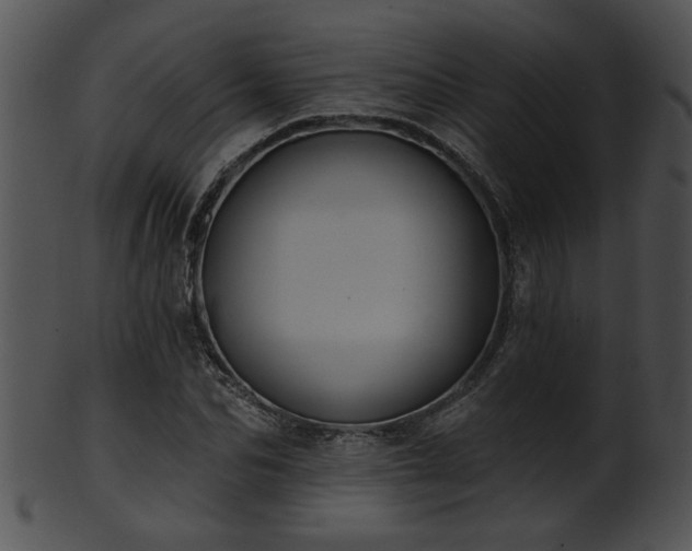 X0000101450974200807141240