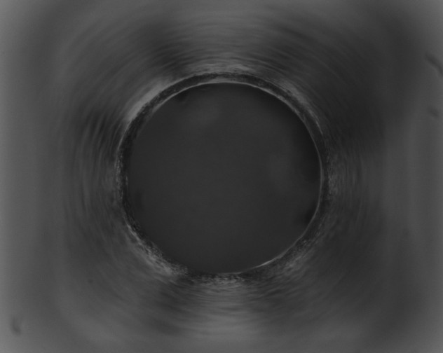 X0000101450975200807141240