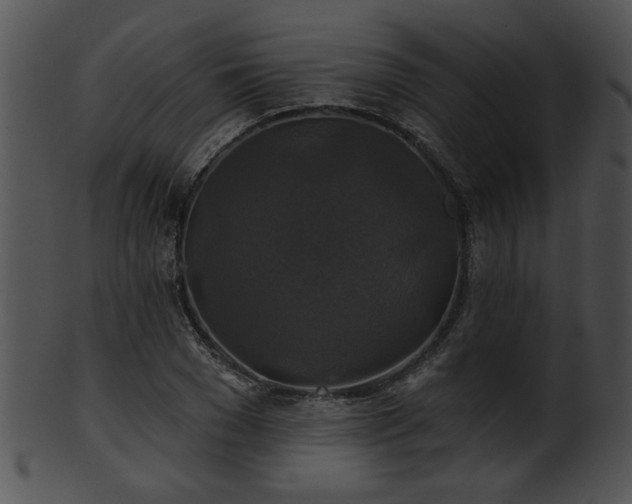 X0000101450977200807141240