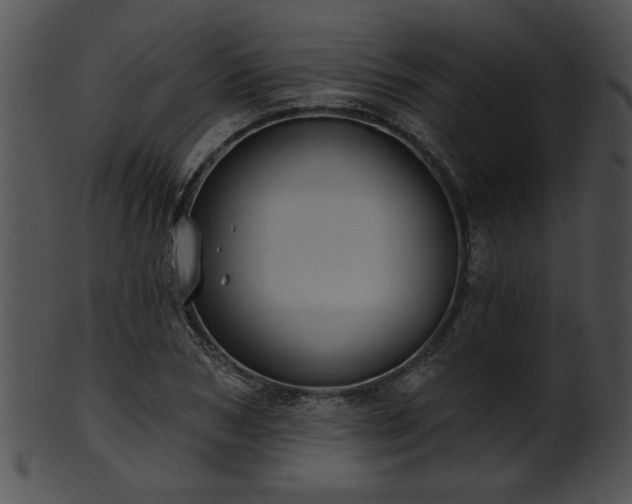 X0000101450978200807141240