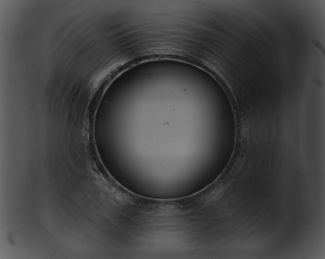 X0000101450979200807141240