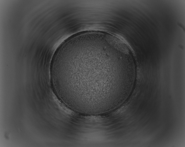 X0000101450980200807141240