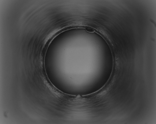 X0000101450981200807141240