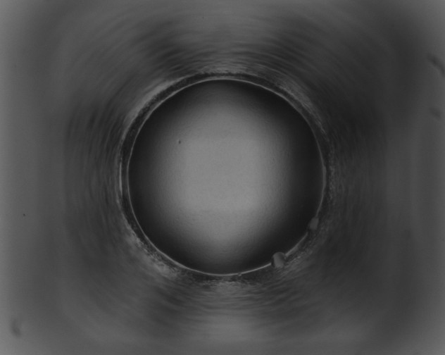 X0000101450984200807141240