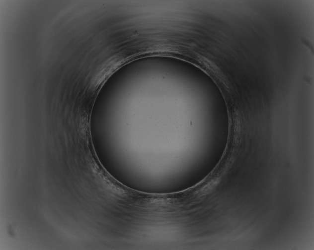 X0000101450985200807141240