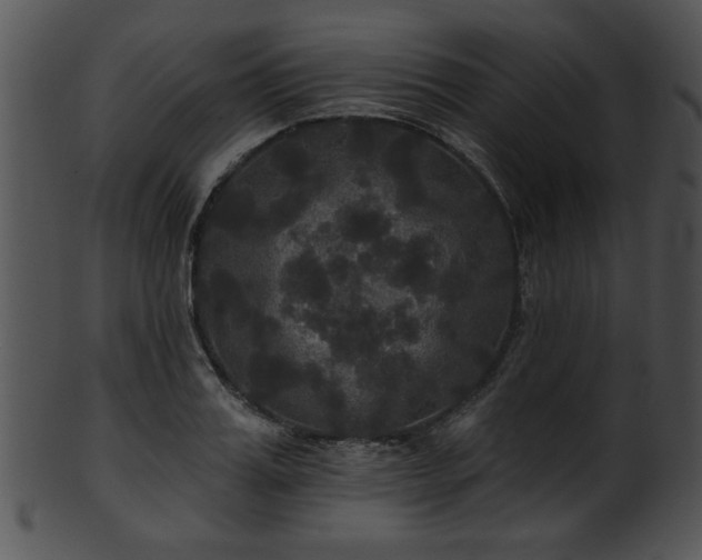 X0000101450987200807141240