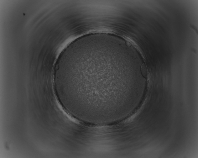 X0000101450989200807141240