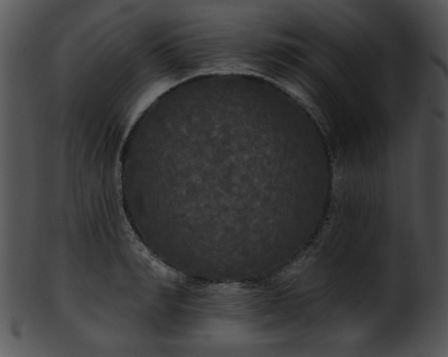 X0000101450990200807141240