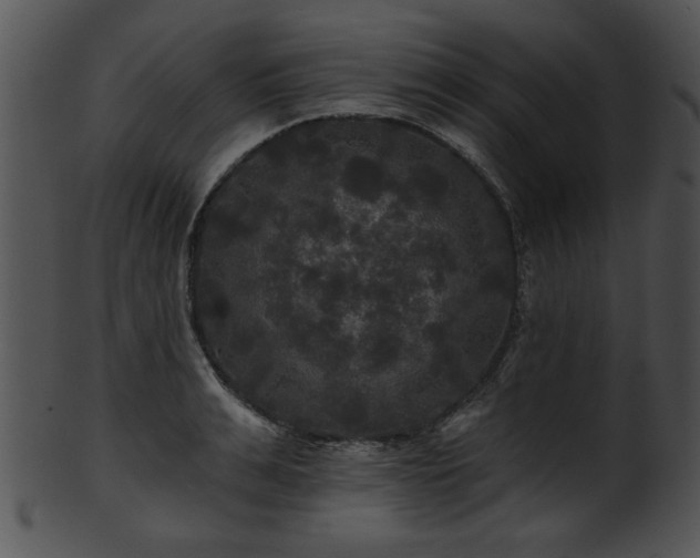 X0000101450991200807141240