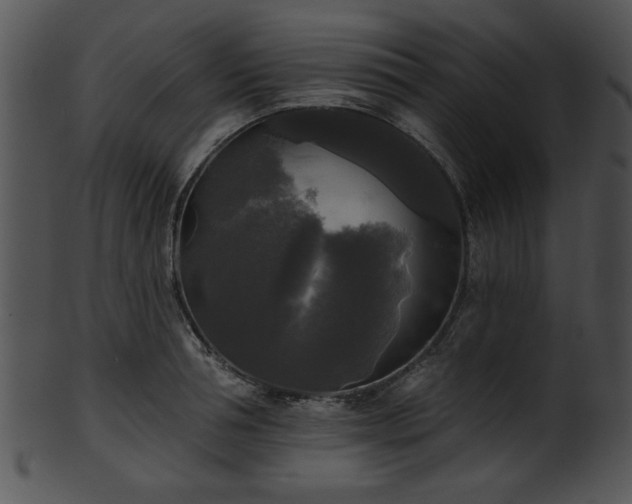 X0000101450994200807141240