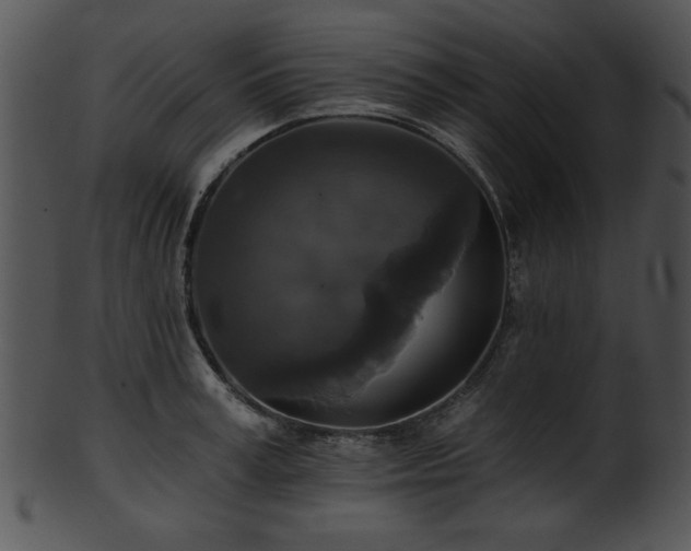 X0000101450995200807141240