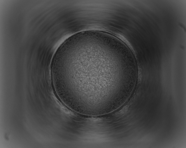 X0000101450996200807141240