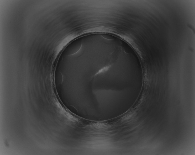 X0000101450998200807141240