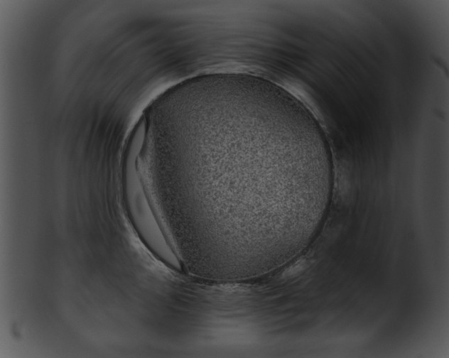 X0000101451000200807141239