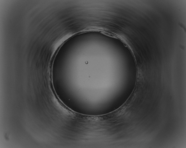 X0000101451003200807141239