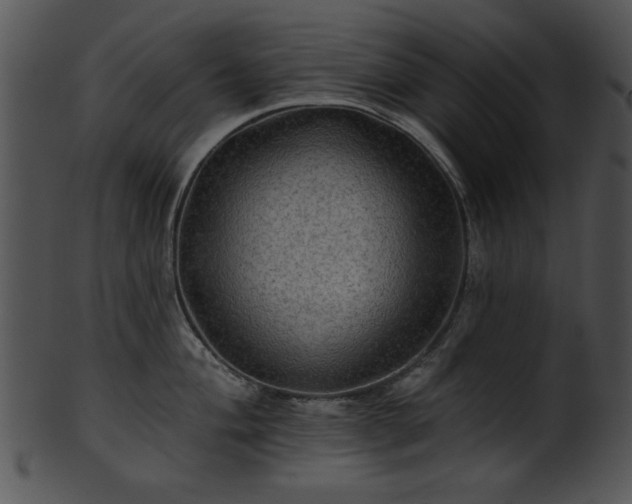 X0000101451004200807141239