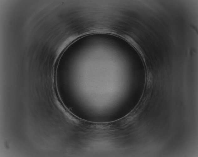 X0000101451005200807141239